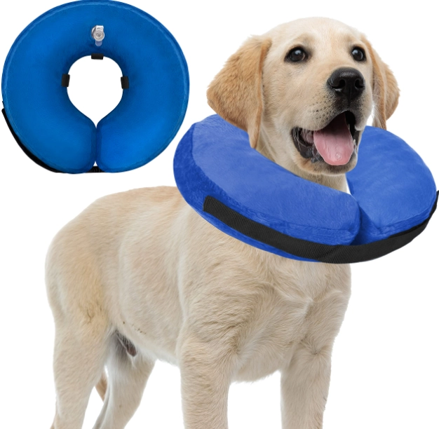 how to make a dog recovery collar how to make a dog recovery collar