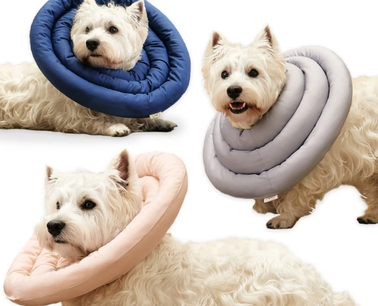 dog cone alternative DIY dog cone alternative DIY