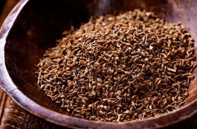 dog safe spices