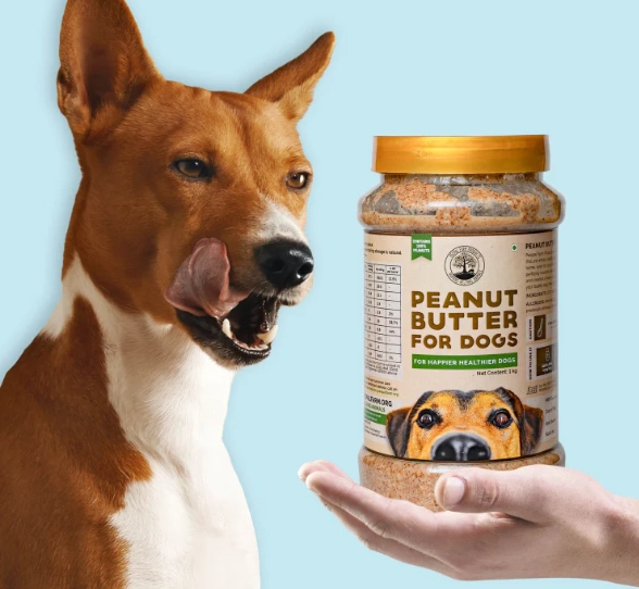 can dogs eat salted peanuts can dogs eat salted peanuts