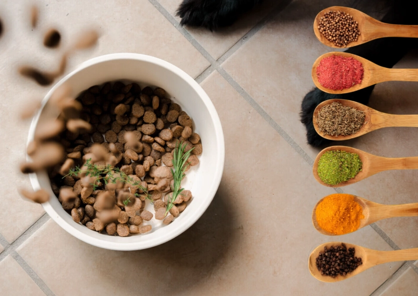herbs for dogs