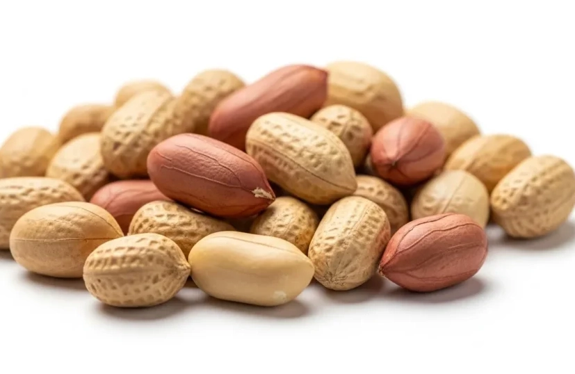 salted peanuts bad for dogs salted peanuts bad for dogs