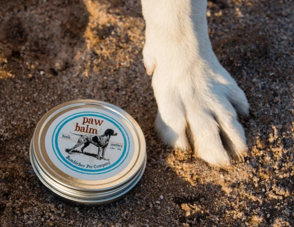 Soothing Dry Dog Paws: 5 Vet-Approved Home Remedies That Work
