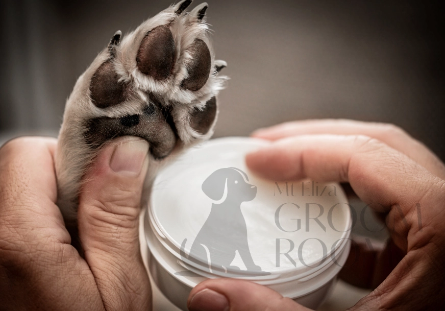 dog paw balm